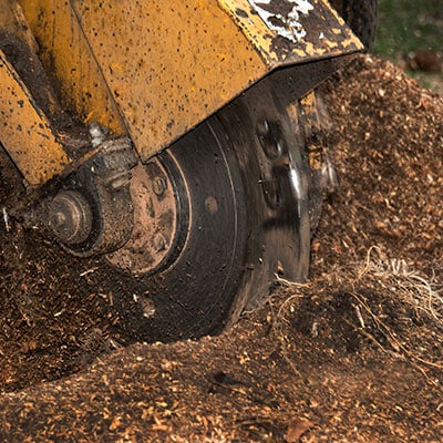 Stump Removal