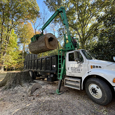Storm Damage Cleanup | Tree Removal